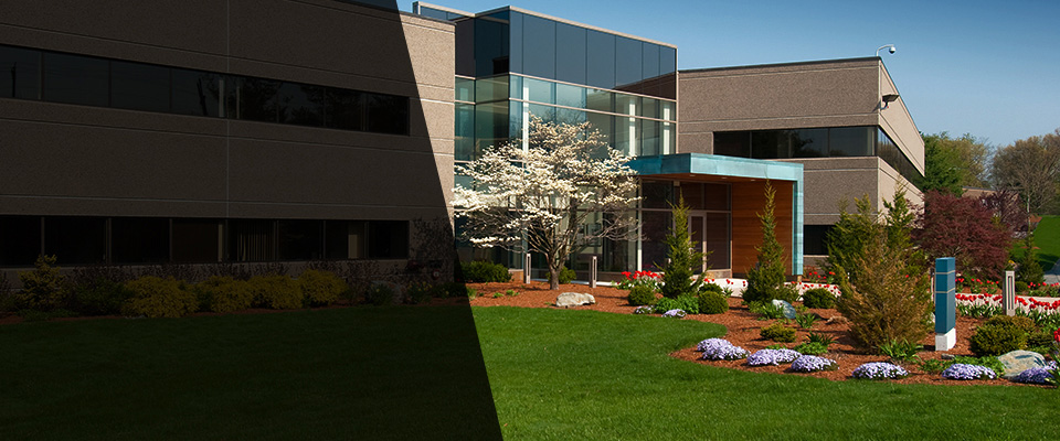 West New York Landscapers