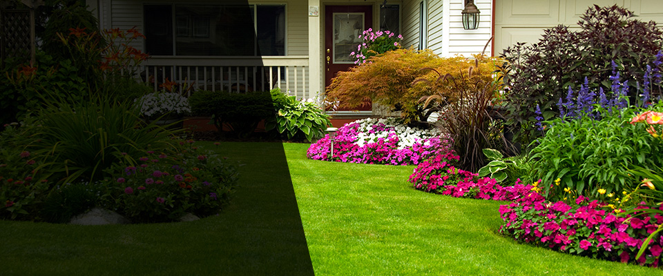 West New York Landscapers