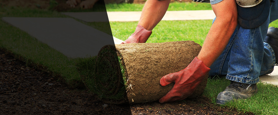 West New York Landscapers